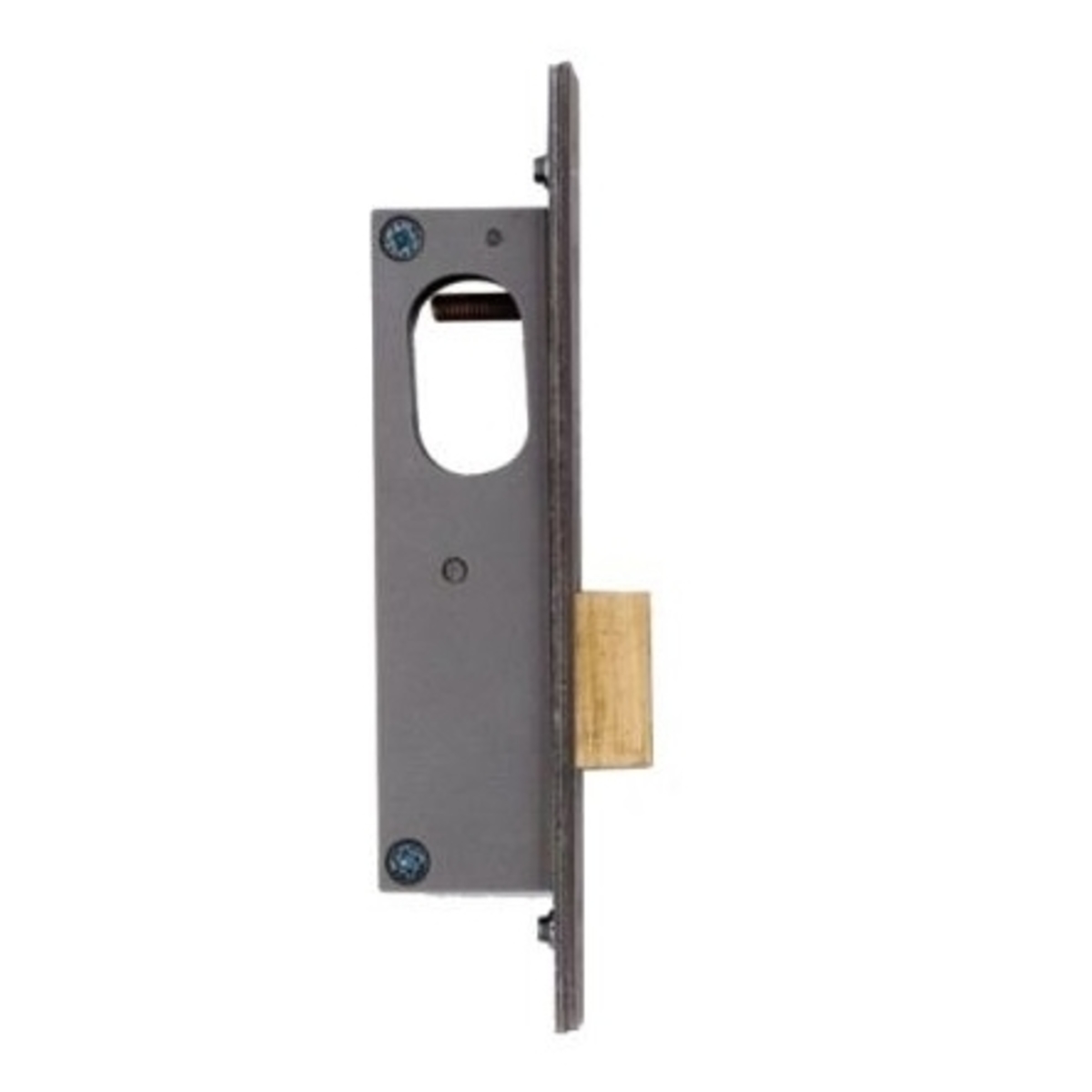 Oval Profile Narrow Stile Door Deadlock