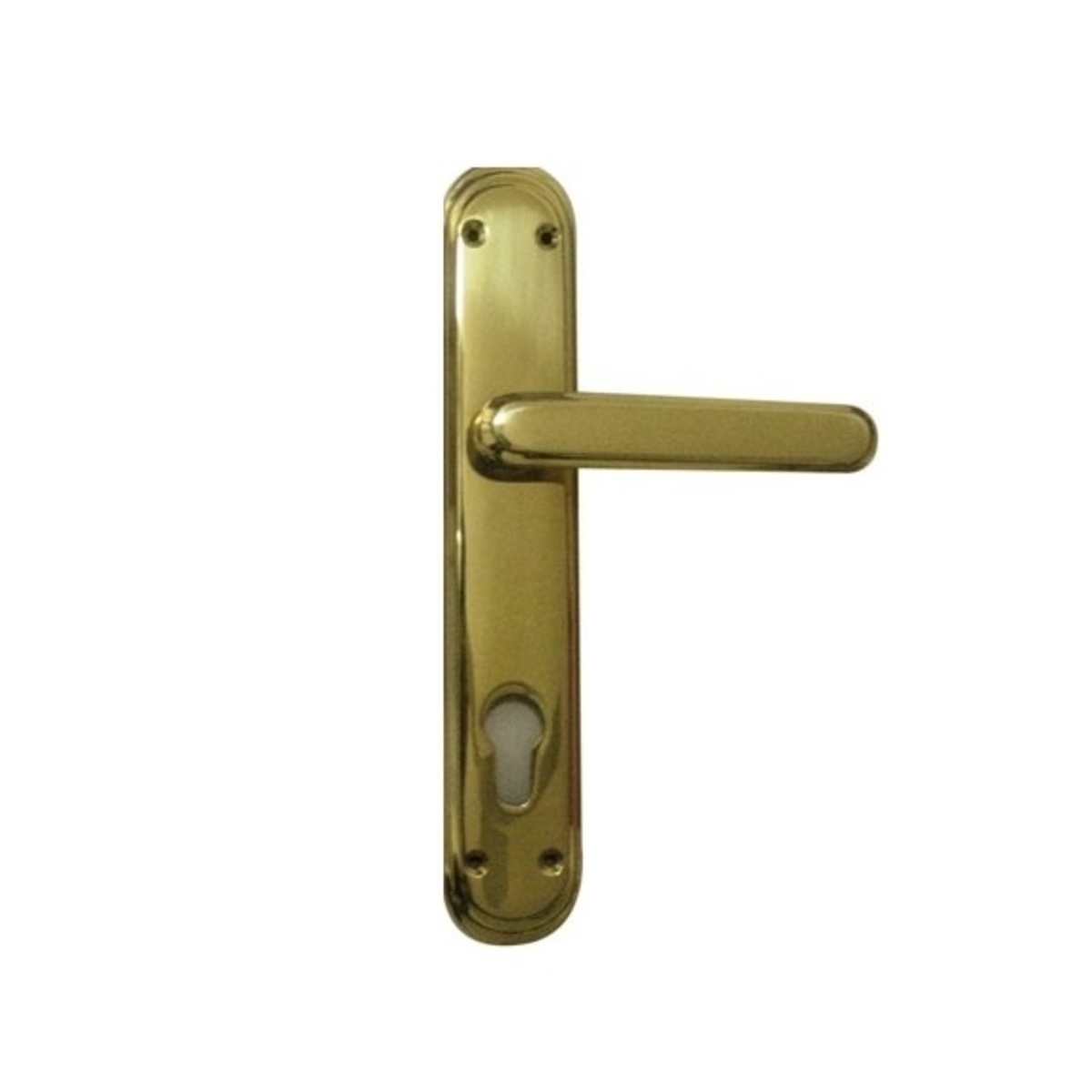 Handle with Backplate - Nottingham