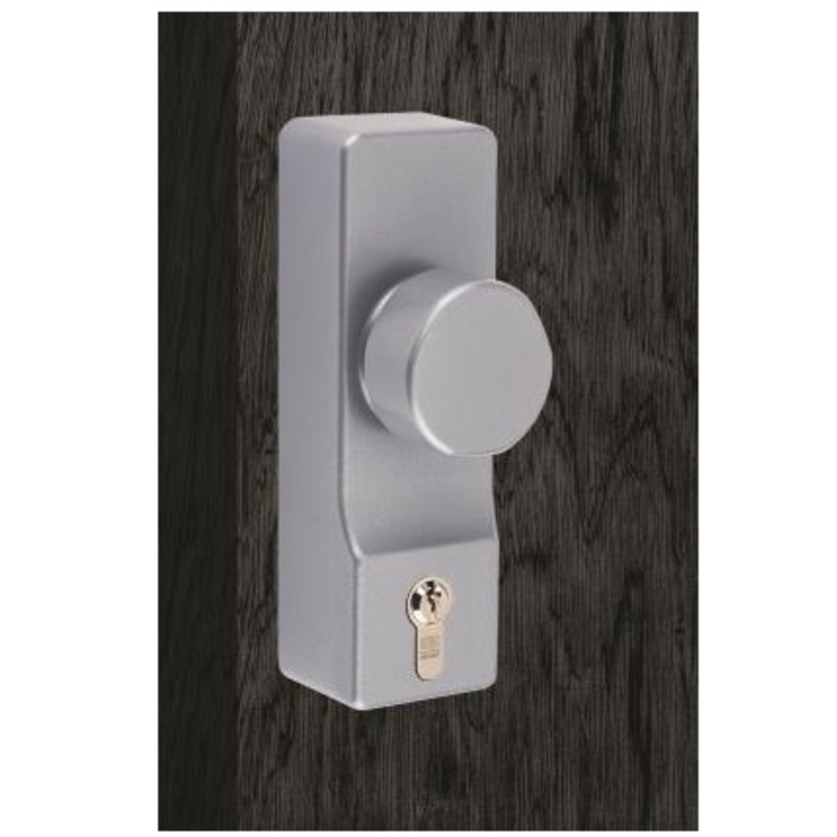 ExiSAFE Outside Access Device - Knob