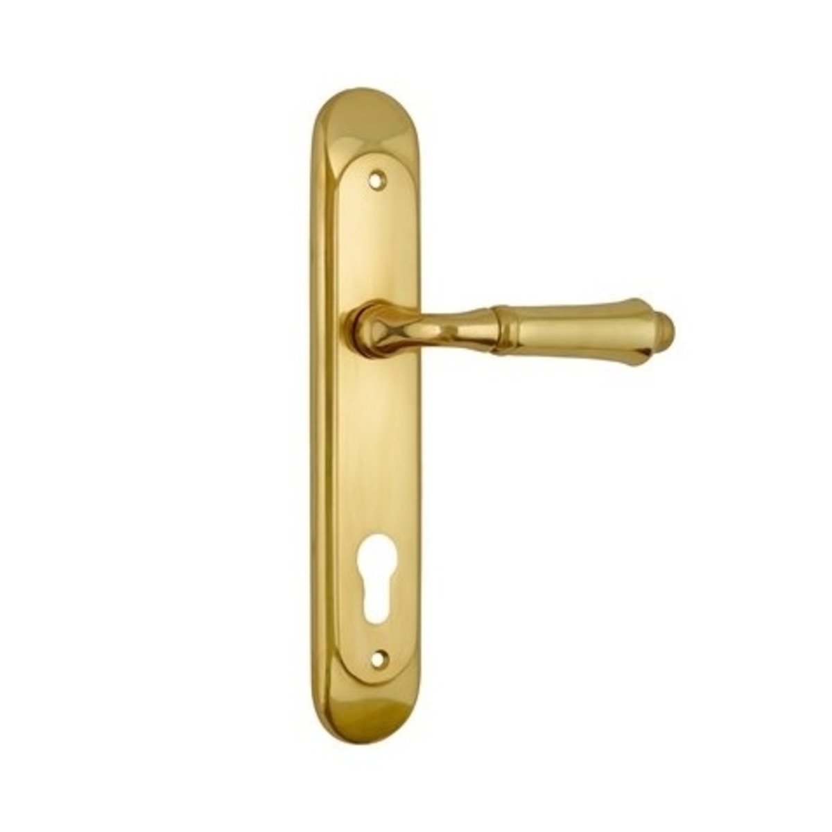 Handle with Backplate - Windsor