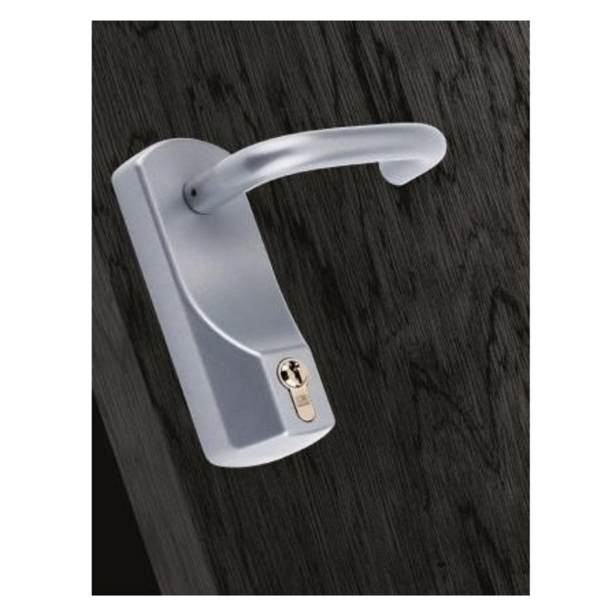 ExiSAFE Outside Access Device - Lever